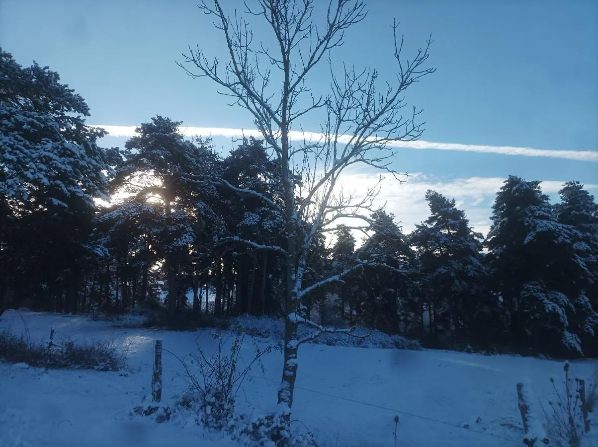 Suite A La Campagne Dans Une Jolie Maison En Bois. Лоссон 0*,  Франция